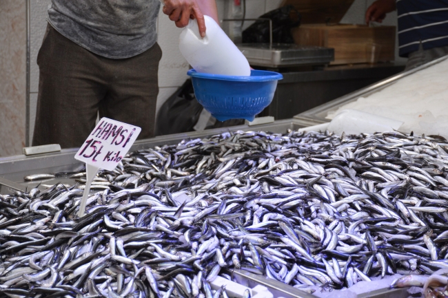 Karadenizli balıkçıların tezgahı hamsiyle doluyor